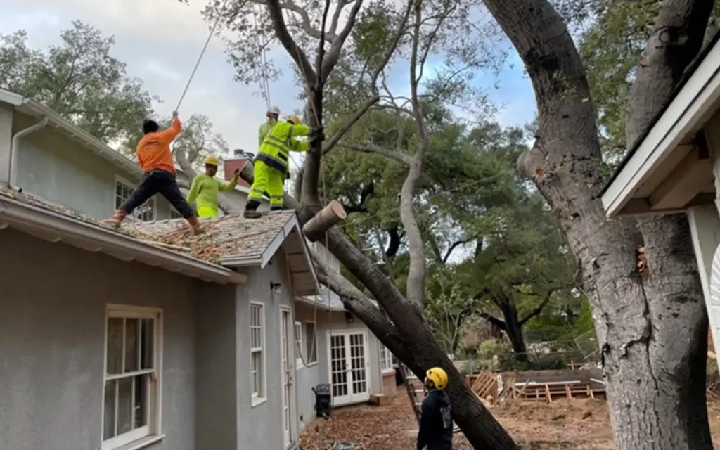 Storm work and Emergency Service